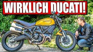 DUCATI SCRAMBLER TRIBUTE PRO 2022 MOTORRAD TEST