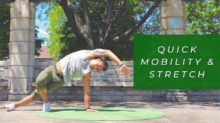 15-min ACTIVE RECOVERY MOVEMENT SESSION | Stretch & Mobility Practice