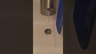 2 Truths & Trash: Episode 5, Round 2 #science #experiments #2truthsandtrash