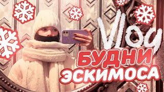 Мой зимний день: школа, уроки, спорт / VLOGMAS