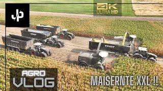 Maisernte bei M&H Agrar! XXL Fendt Kolonne in schwarz! Agrovlog #11 || JP Agrar