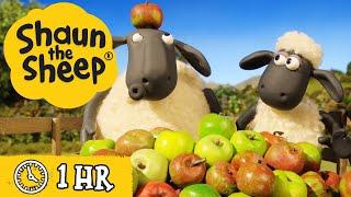 Shaun the Sheep Season 4  All Episodes (21-30)  Role Play & The Crazy Goat  Cartoons for Kids