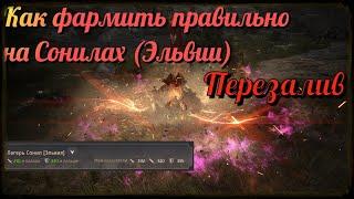 Black Desert / BD: Как правильно фармить на Сонилах (Эльвия Серендия) (Перезалив!)