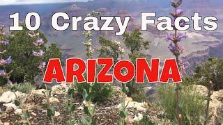 10 Crazy Facts About Arizona #arizona