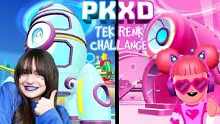 PK XD TEK RENK EV YAPMA CHALLENGE !! | PK XD SINGLE COLOR HOME BUILDING CHALLENGE!! | ÖZGÜŞ TV