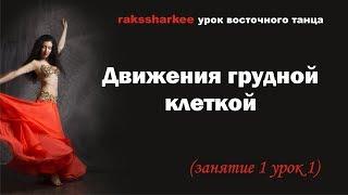 Движения грудной клеткой. Урок восточного танца. Обучение с нуля. Танец живота.