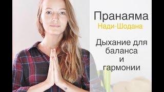 Дыхание для баланса и гармонии || Пранаяма Нади-Шодана