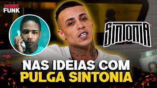 Nas ideias com MC Rhamon | Pulga Sintonia (Sobre Funk)