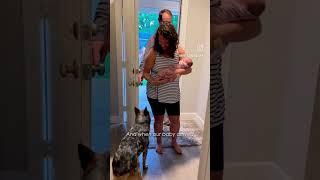 Deaf woman adopted a deaf dog | Rescue stories