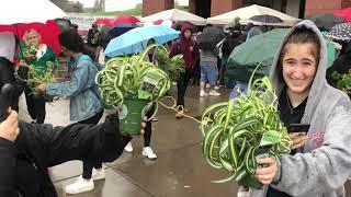 'Plant Drop' Cornell: 1,000 plants in 20 minutes