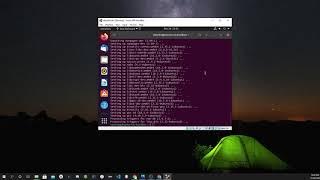 Get full screen with Ubuntu on VirtualBox