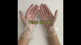 Vinyl Gloves