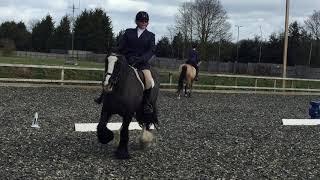 Vicky and Hester dressage anywhere March 2018