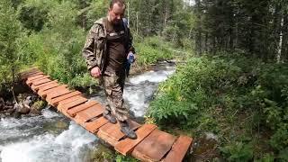 Лес  Горы  горные реки .купание в ледяной воде част1