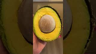 HUGE Reed Avocado! 