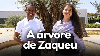 A árvore de Zaqueu com Rodrigo Silva e Aline Szewkies