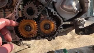 Yamaha tdm 850 weak death of engine, тдм кончился мотор смерть мотора. Tdm слабая сторона мотора