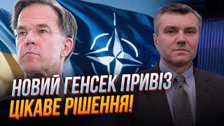 Эту формулу УКРАИНЫ В НАТО уже обсуждают вслух! Рютте привез в Киев... / ДЫМОВ