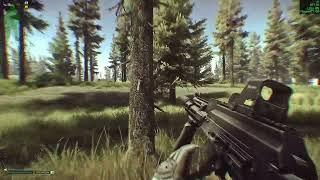 Escape from Tarkov куст на берегу