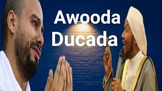 Awooda Ducada Leedahay || Sheekh Cabdirashiid Sh Cali Suufi