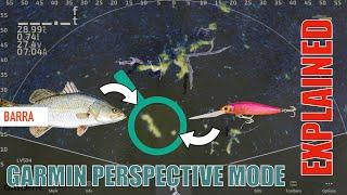 Garmin Perspective Mode Explained with Barramundi