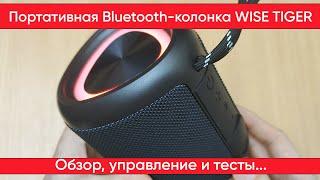 Колонка WISE TIGER A46 Max - управление и тесты