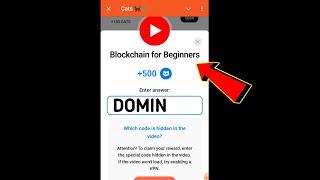 Blockchain for Beginners Cats Video Code | Blockchain for Beginners cats video code today