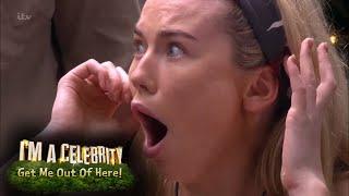 The Best Jungle Highlights 2017 | I'm A Celebrity... Get Me Out Of Here!