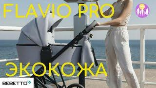 Bebetto Favio Pro в экокоже. Цвета. И в общем про Bebetto. DKS