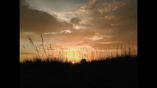 Listening Mirror - The Organist #drone #ambient