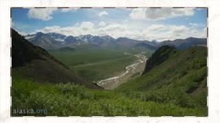 Alaska.org - Denali Park Overview & Visitor Center