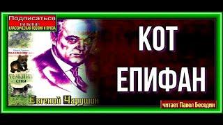 Кот Епифан— Евгений Чарушин —читает Павел Беседин