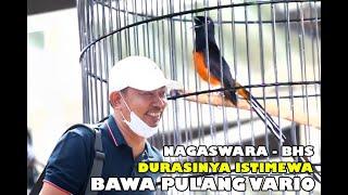 DURASI KERJA ISTIMEWA  NAGASWARA - BAMBANG HONDA SURABAYA BAWA PULANG HONDA VARIO.