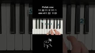 Polish cow mem on piano  tutorial Польская корова мем на пианино