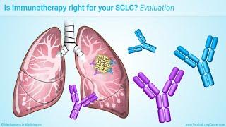 Immunotherapy Treatments for Small Cell Lung Cancer (SCLC)