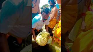 Floating Stone 🪨 | Rameshwaram | Tamil Nadu | Xplore with Prudhvi #floatingstone #jaishreeram #shiva