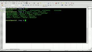 Excel to CSV with xls2csv - BASH - Linux