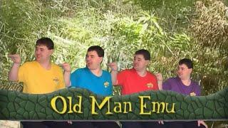 The Jaden Wiggles: Old Man Emu (2002) (Dancing Video)