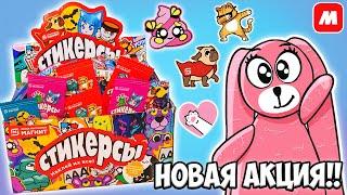 СТИКЕРСЫ новая акция в МАГНИТ! Лучше СКРЕПЫШЕЙ? Распаковка коробки 300 шт от Зайки Лу!