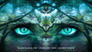 vladislove.fm I Podcast 005 I Downtempo I Electronica I Boris Brejcha I Solomun I Tale of Us I House