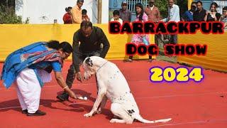 BARRACKPORE DOG SHOW || DOG SHOW || DOG SHOW 2024 #video #viralvideo #trending #petmarket