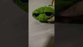 what do you think will happen in evil virus 11 (part 1) there's a new charater