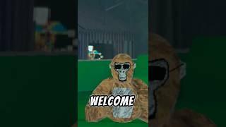 Welcome to my channel! #gorrilatag #vr #oculesquest #lionsvr #viral #viralvideo #shorts #vrshorts