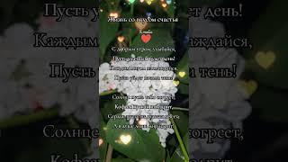 Доброе утро. Любимяа сирень. #доброеутро #любовь #жизньсовкусомсчастья #сирень #красота #цветы