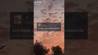 TikTok tweet akımı