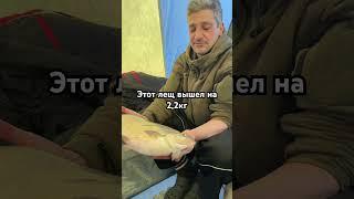 Рыбалка на рекордного леща в зимней палатке на водохранилище #лещ #рыбалка крупная рыба 2,2 кг