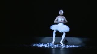 Les Ballets Trockadero de Monte Carlo - The Dying Swan