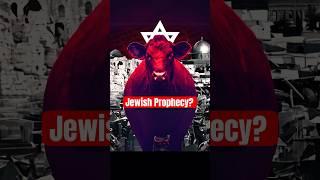 Is the Red Heifer Prophecy About to be Fulfilled?