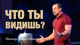 «Что ты видишь?» Пастор Андрей Шаповалов