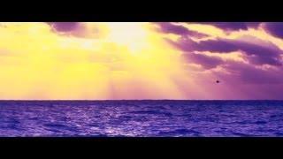 Big Gigantic - The Night is Young Feat. Cherub (Official Video)